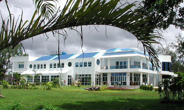 American Institute of Marine Animal Research